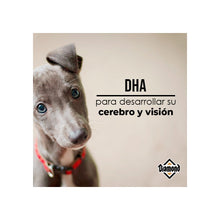 Cargar imagen en el visor de la galería, Diamond Puppy
