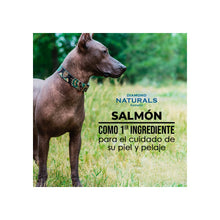 Cargar imagen en el visor de la galería, Naturals Piel y pelo Salmón

